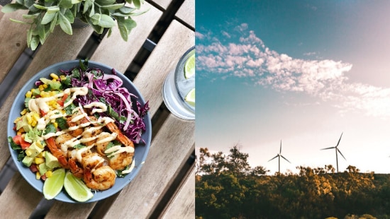 Healthy meal and wind farm