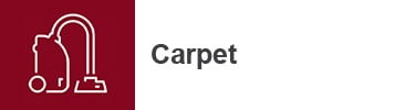Carpet Care Icon