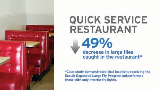 Large Fly QSR Case Study Image