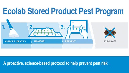 stored product pests