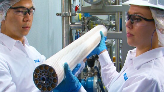 Two Experts Inspecting Dairy Membranes