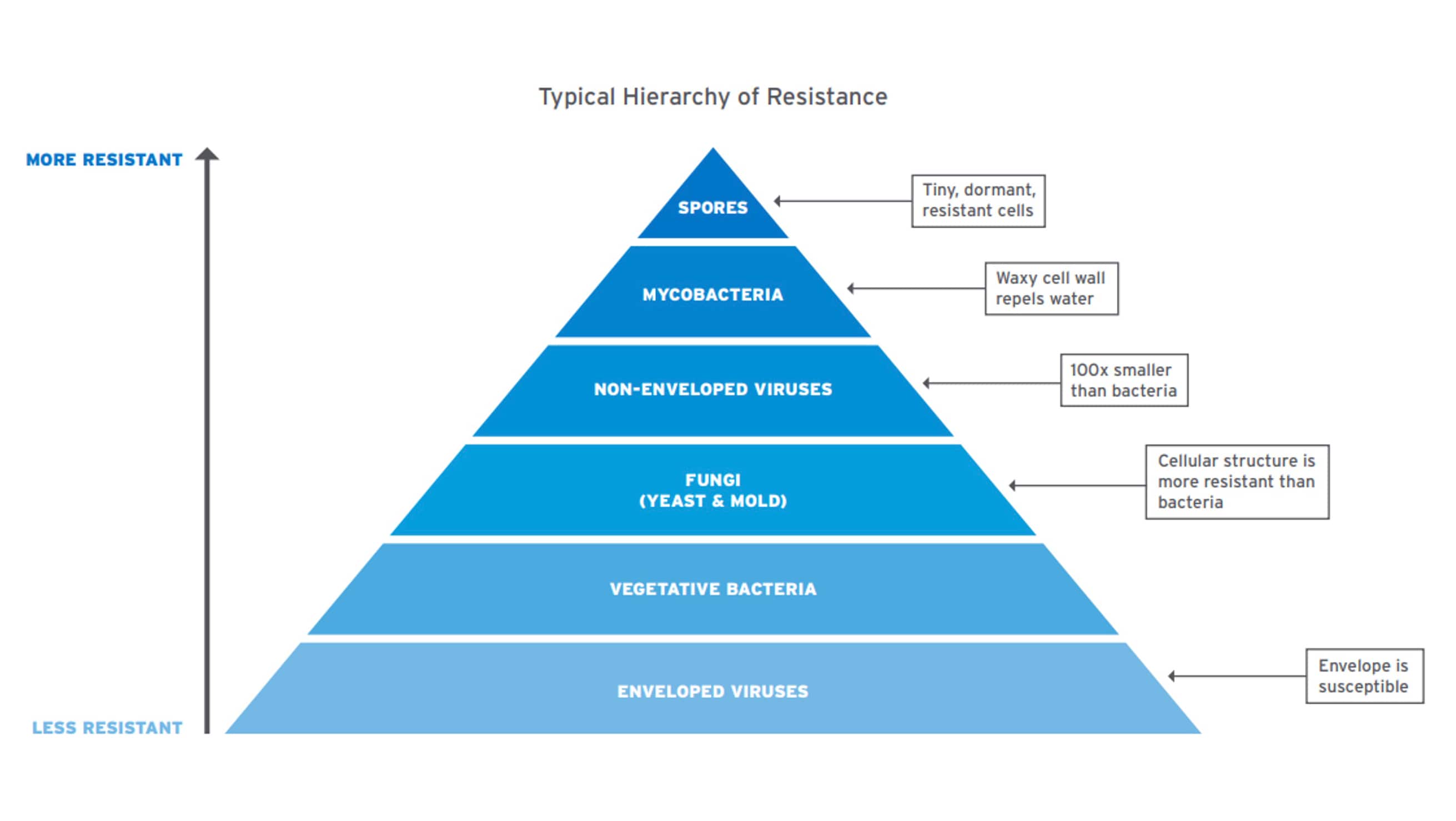 Hierarchy of Resistance chart