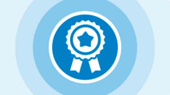 Product Quality Icon