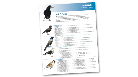 Ecolab Pest Bird Guide