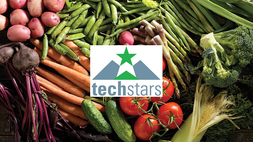 Techstars Farm to Fork Accelerator