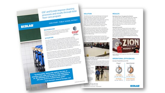 Snapshot of Two Pages of the Case Study