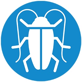 Cockroach Icon