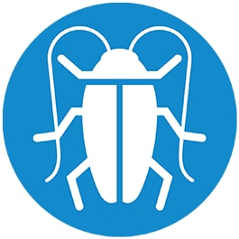 Cockroach Icon