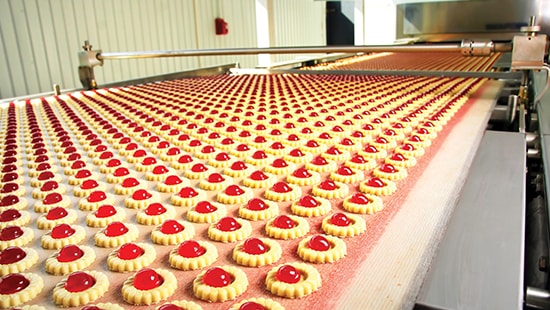 Cookies lined up on a conveyer belt in a food processing facility.