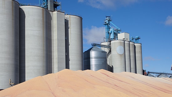 Grain in front of silos