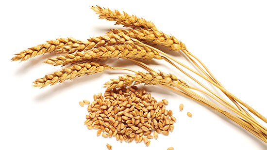 grain fumigation