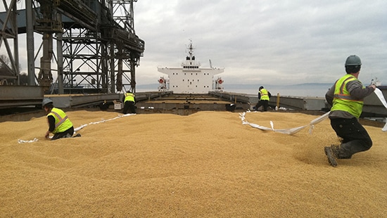 Cargo ship fumigation