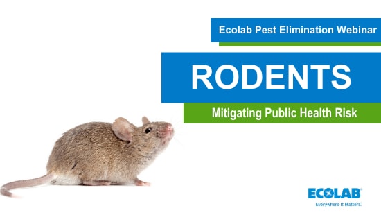 Rodent Webinar Title with Rodent Image