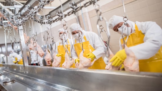 Meat processing line.