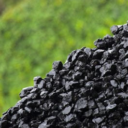 Wet Coal Pile
