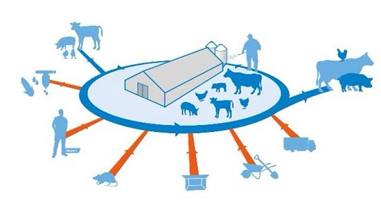 Diagram of farm biosecurity showing a central livestock barn surrounded by animals, people, vehicles, and equipment, with arrows illustrating disease risk pathways.