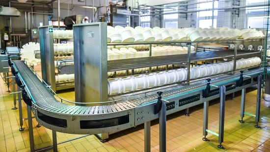 Conveyor in a dairy processing plant