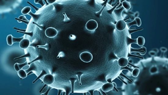 A person is holding a sandwich with both hands, about to take a bite. The sandwich contains layers of lettuce and deli meat on whole grain bread.