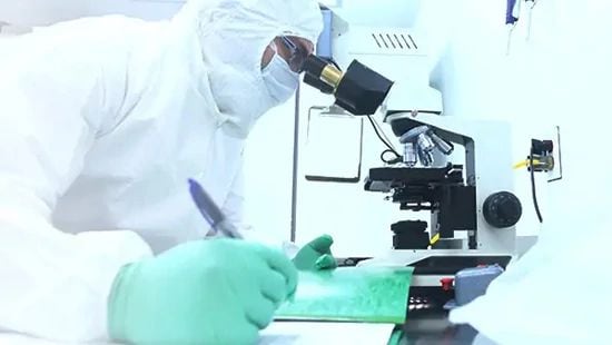BiotechSlider_scientist_microscope.jpg
