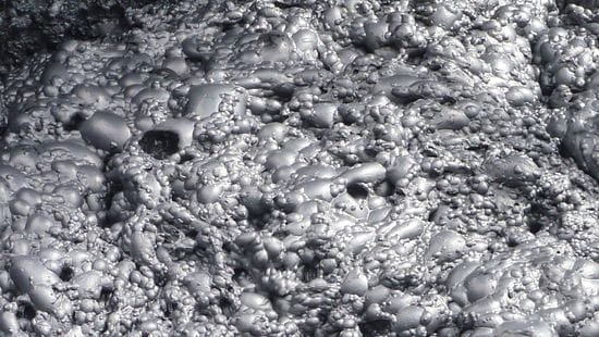 Flotation froth bubbles up close