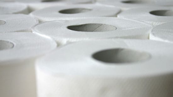 Toilet paper rolls.