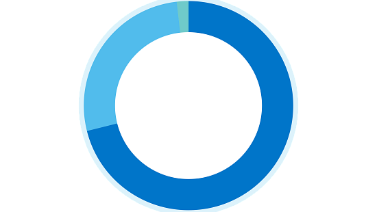 Color chart displaying Racial Ethnic Diversity All US Employees