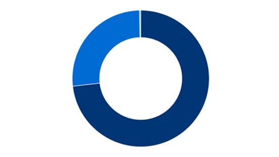 DE&I progress pie chart