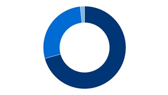 DE&I progress pie chart