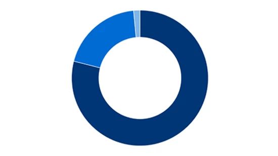 DE&I progress pie chart